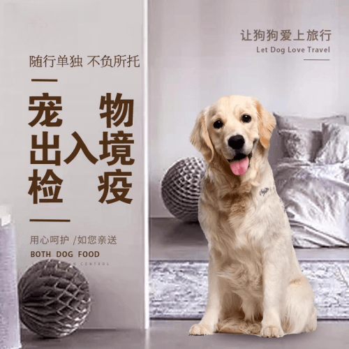 九龙坡区宠物托运到哥伦比亚猫狗宠物入境规定和