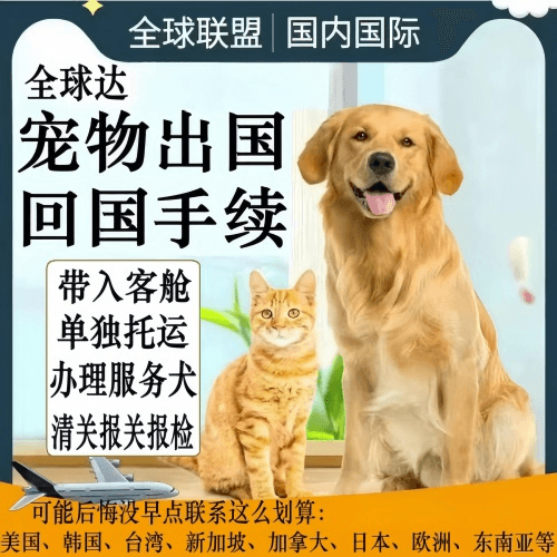 九龙坡区宠物托运到柬埔寨宠物入境规定和要求