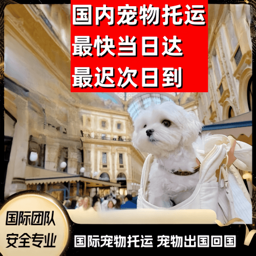 九龙坡区到澳大利亚（澳洲）宠物入境规定和要求