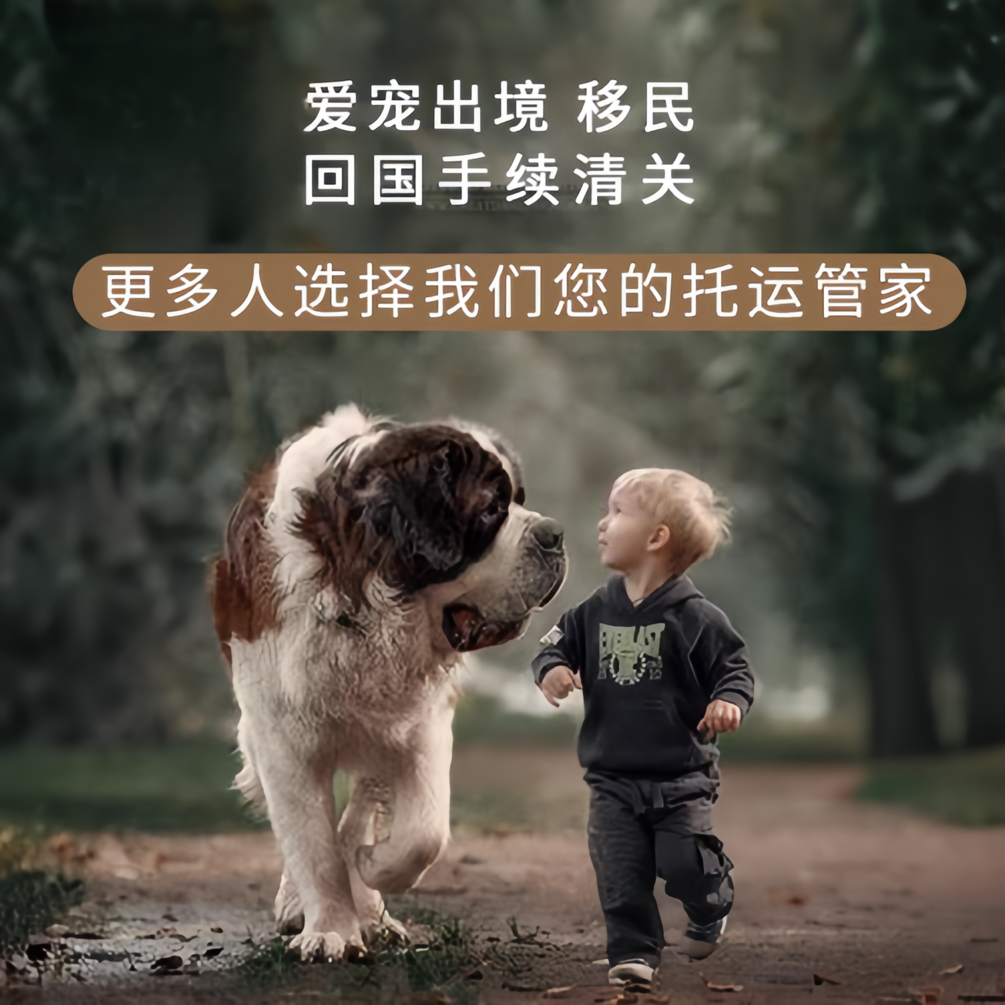 满财九龙坡区宠物全球达宠物托运在遵守入境目的地政策的条件